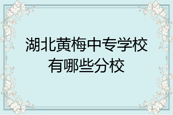 湖北黄梅中专学校有哪些分校