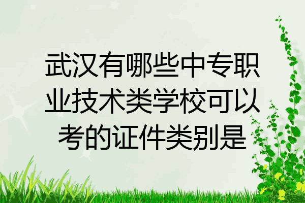 武汉有哪些中专职业技术类学校可以考的证件类别是