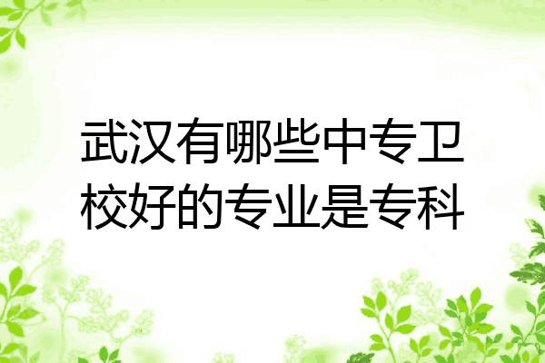 武汉有哪些中专卫校好的专业是专科