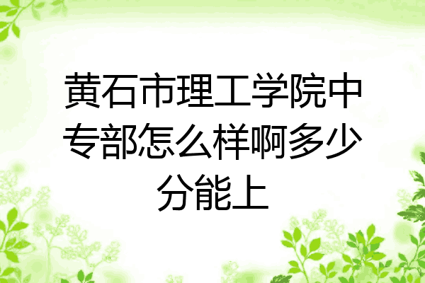 黄石市理工学院中专部怎么样啊多少分能上
