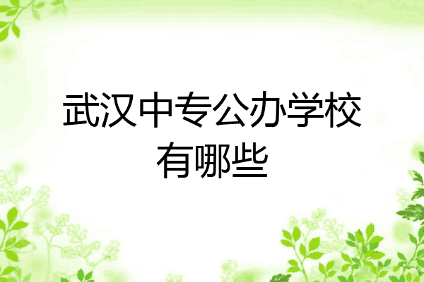 武汉中专公办学校有哪些