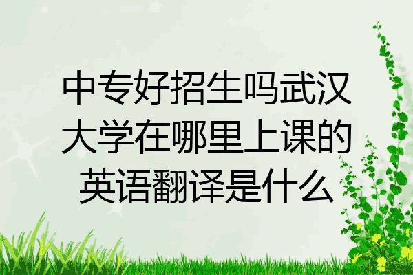 中专好招生吗武汉大学在哪里上课的英语翻译是什么