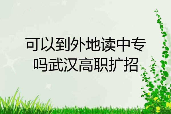 可以到外地读中专吗武汉高职扩招
