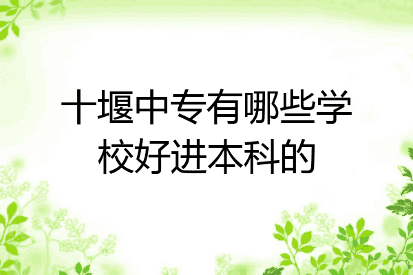 十堰中专有哪些学校好进本科的
