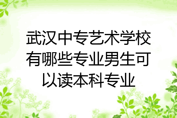 武汉中专艺术学校有哪些专业男生可以读本科专业