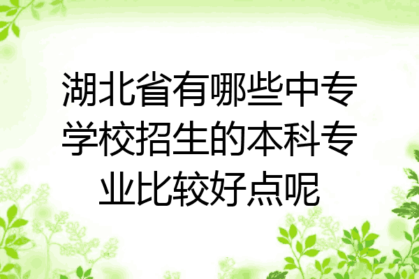 湖北省有哪些中专学校招生的本科专业比较好点呢