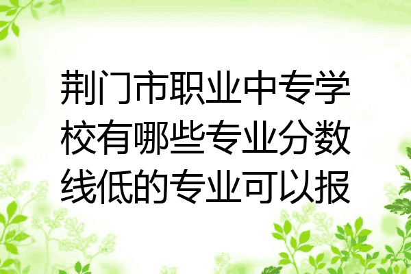荆门市职业中专学校有哪些专业分数线低的专业可以报
