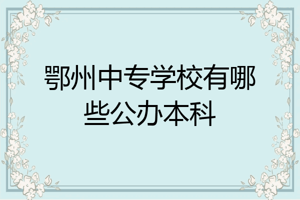 鄂州中专学校有哪些公办本科