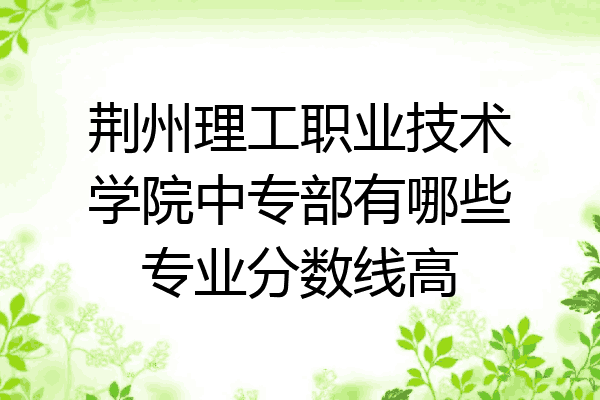 荆州理工职业技术学院中专部有哪些专业分数线高