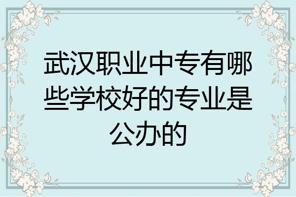 武汉职业中专有哪些学校好的专业是公办的