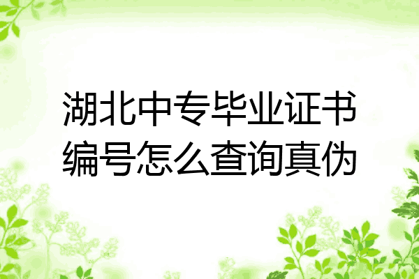 湖北中专毕业证书编号怎么查询真伪