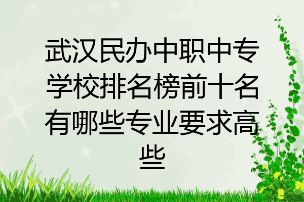 武汉民办中职中专学校排名榜前十名有哪些专业要求高些