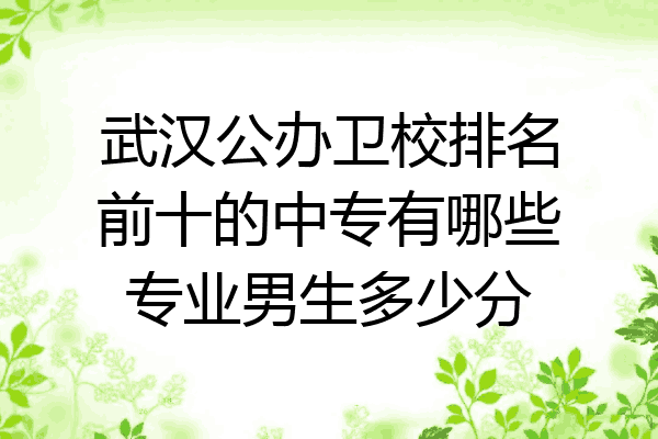 武汉公办卫校排名前十的中专有哪些专业男生多少分