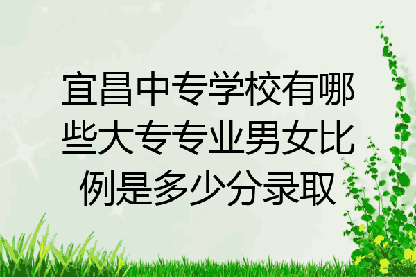 宜昌中专学校有哪些大专专业男女比例是多少分录取