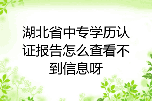 湖北省中专学历认证报告怎么查看不到信息呀