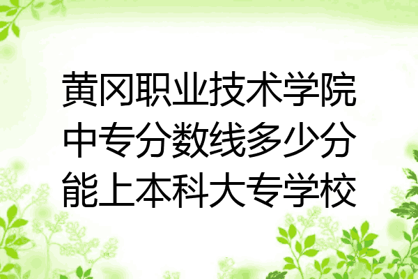 黄冈职业技术学院中专分数线多少分能上本科大专学校