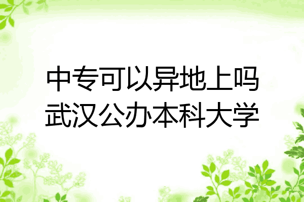 中专可以异地上吗武汉公办本科大学