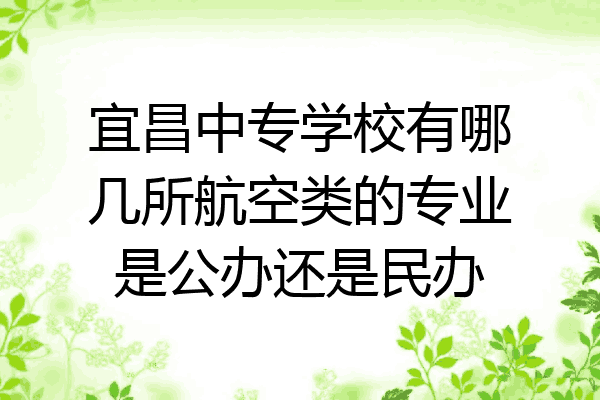 宜昌中专学校有哪几所航空类的专业是公办还是民办