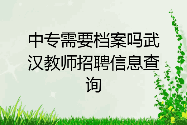 中专需要档案吗武汉教师招聘信息查询