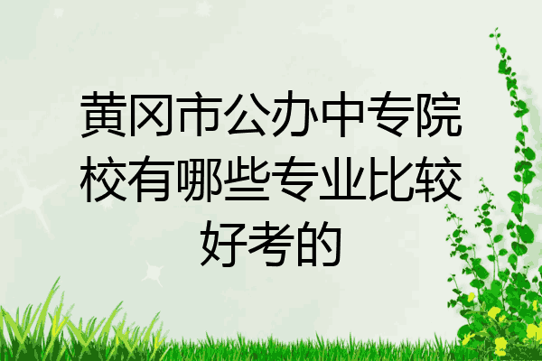 黄冈市公办中专院校有哪些专业比较好考的