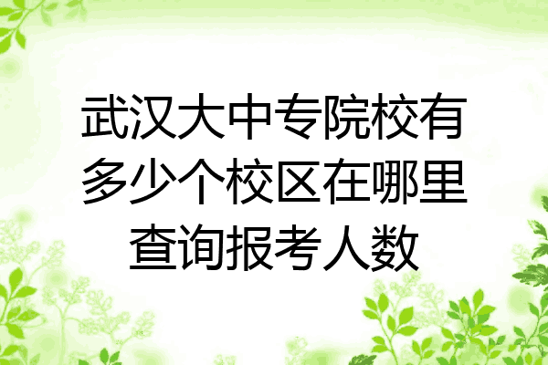 武汉大中专院校有多少个校区在哪里查询报考人数