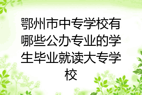 鄂州市中专学校有哪些公办专业的学生毕业就读大专学校