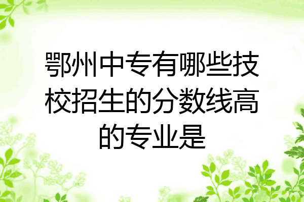 鄂州中专有哪些技校招生的分数线高的专业是