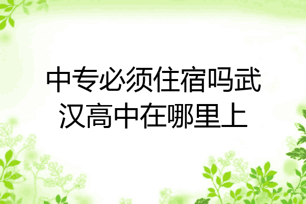 中专必须住宿吗武汉高中在哪里上