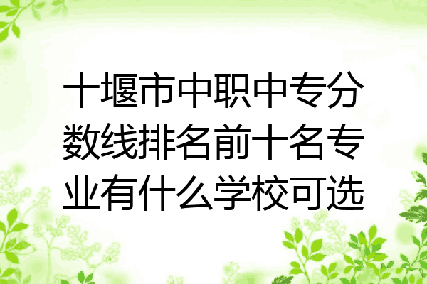 十堰市中职中专分数线排名前十名专业有什么学校可选