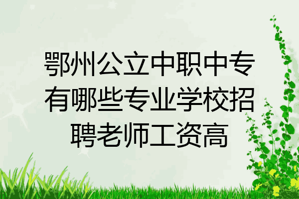 鄂州公立中职中专有哪些专业学校招聘老师工资高