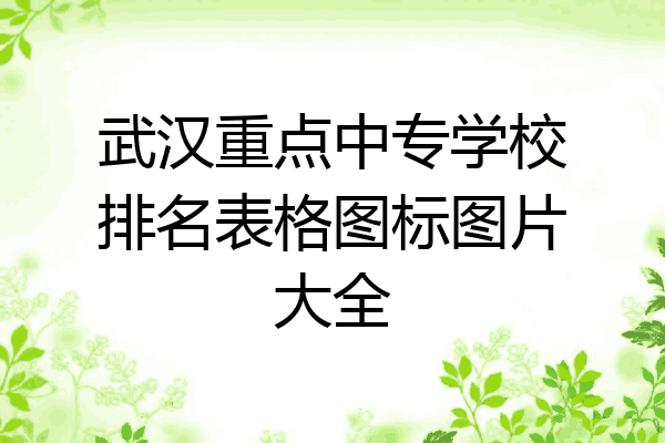 武汉重点中专学校排名表格图标图片大全
