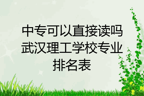 中专可以直接读吗武汉理工学校专业排名表