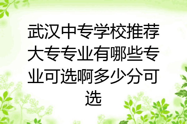武汉中专学校推荐大专专业有哪些专业可选啊多少分可选