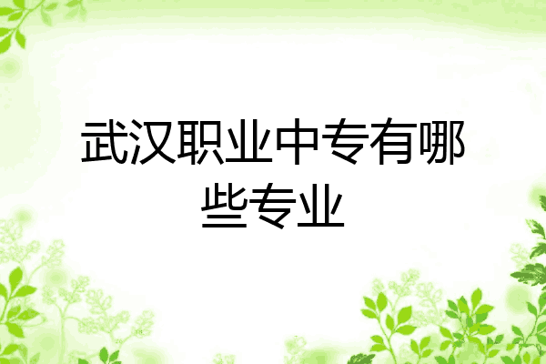 武汉职业中专有哪些专业