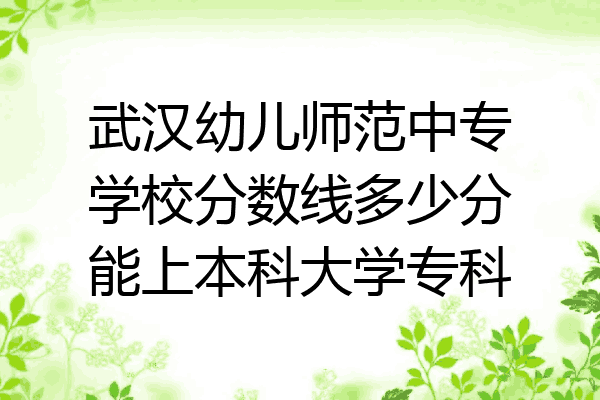 武汉幼儿师范中专学校分数线多少分能上本科大学专科