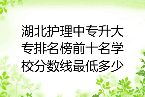 湖北护理中专升大专排名榜前十名学校分数线最低多少