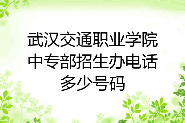 武汉交通职业学院中专部招生办电话多少号码