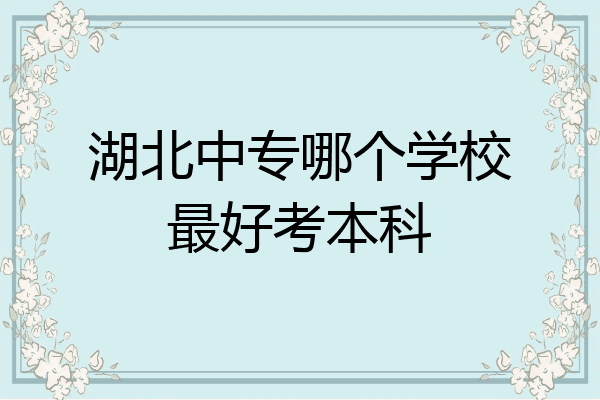 湖北中专哪个学校最好考本科