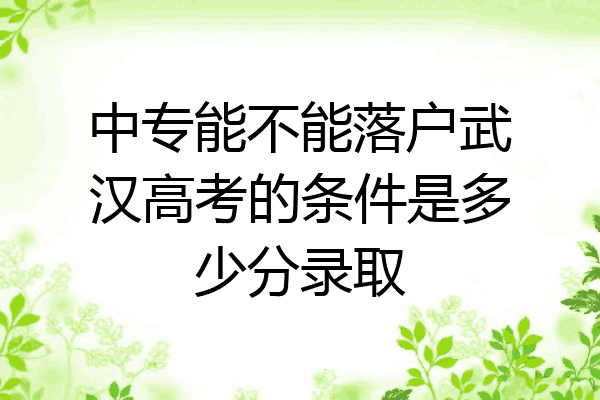 中专能不能落户武汉高考的条件是多少分录取