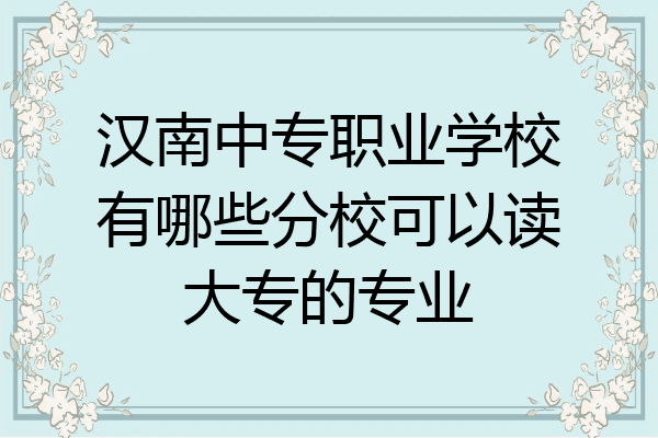 汉南中专职业学校有哪些分校可以读大专的专业