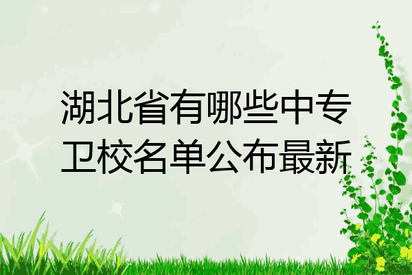 湖北省有哪些中专卫校名单公布最新