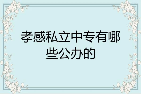 孝感私立中专有哪些公办的