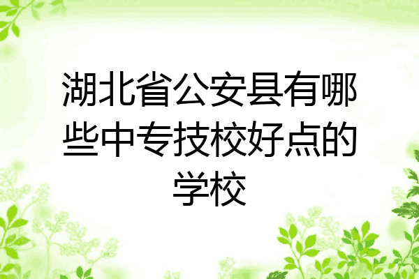 湖北省公安县有哪些中专技校好点的学校