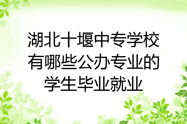 湖北十堰中专学校有哪些公办专业的学生毕业就业