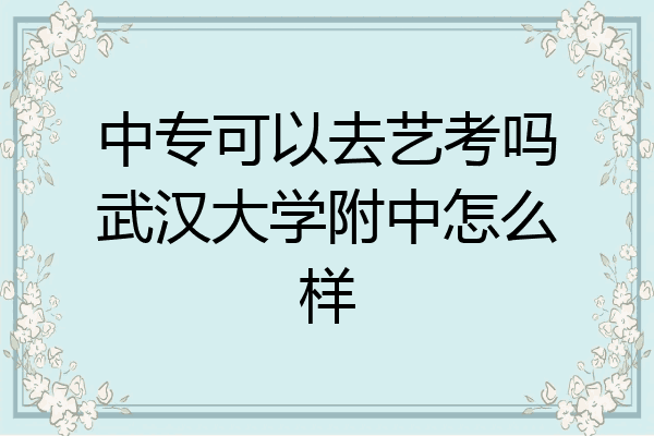 中专可以去艺考吗武汉大学附中怎么样