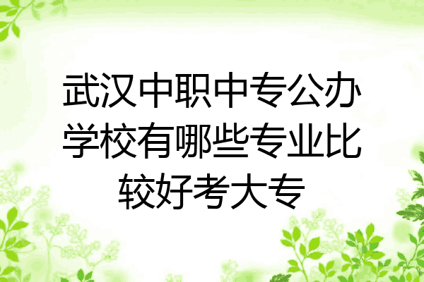武汉中职中专公办学校有哪些专业比较好考大专