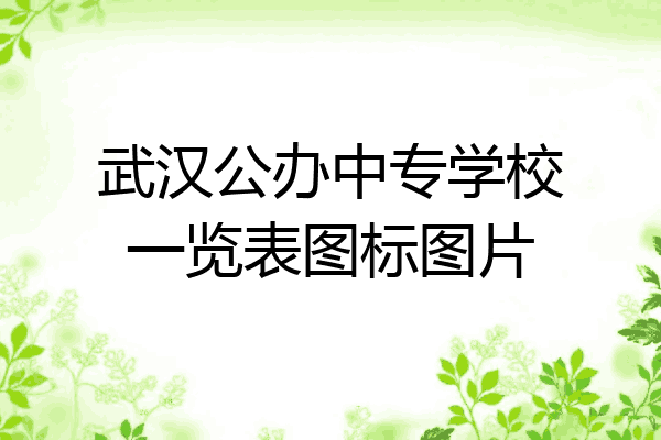 武汉公办中专学校一览表图标图片
