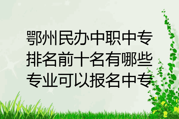 鄂州民办中职中专排名前十名有哪些专业可以报名中专