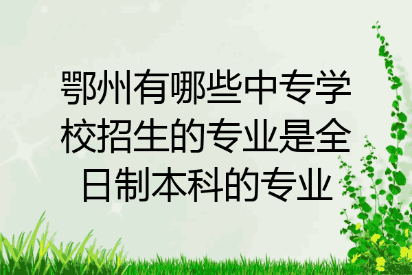 鄂州有哪些中专学校招生的专业是全日制本科的专业