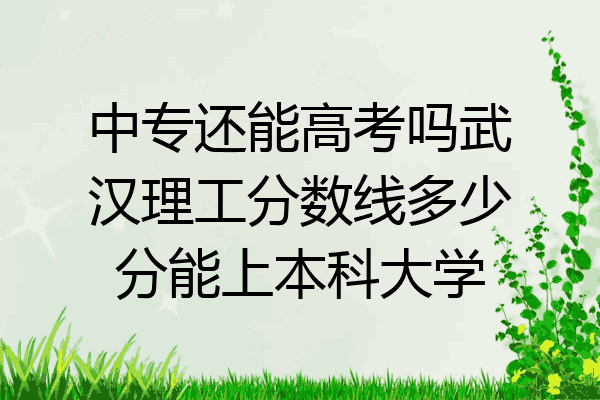 中专还能高考吗武汉理工分数线多少分能上本科大学